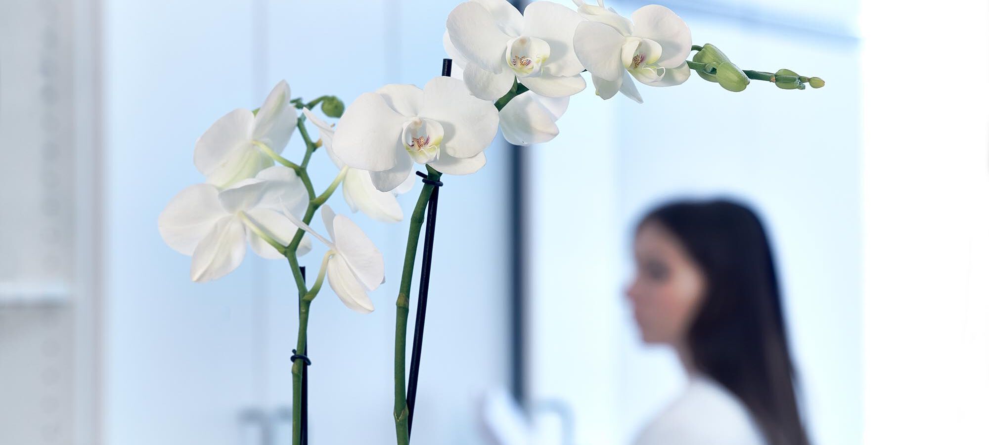 Tinnitus HNO Zentrum Frankfurt am Main